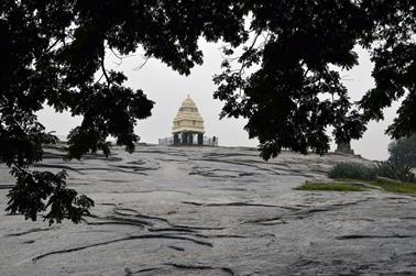 Lalbagh Botanical Garden,_DSC4489_b_H600